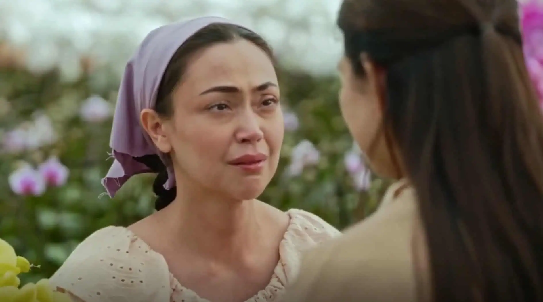 Lavender Fields: 1×100