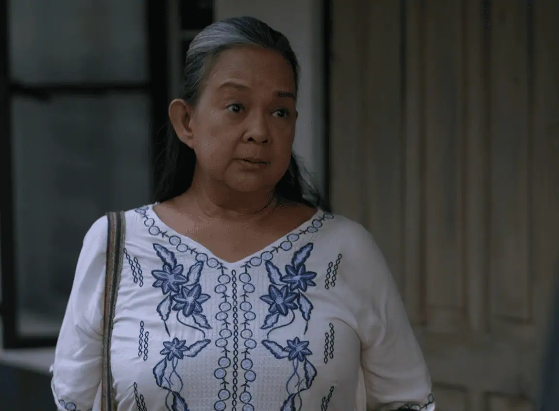 Incognito: 1×108